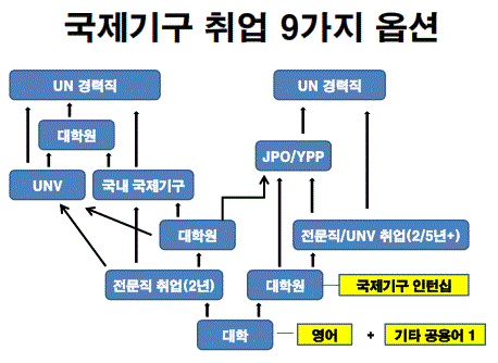 국제기구 취업 로드맵(9가지 옵션) 표지.GIF