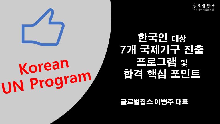 (표지) 한국인대상 7개 국제기구 진출 프로그램 및 합격 핵심 포인트(이미지).JPG